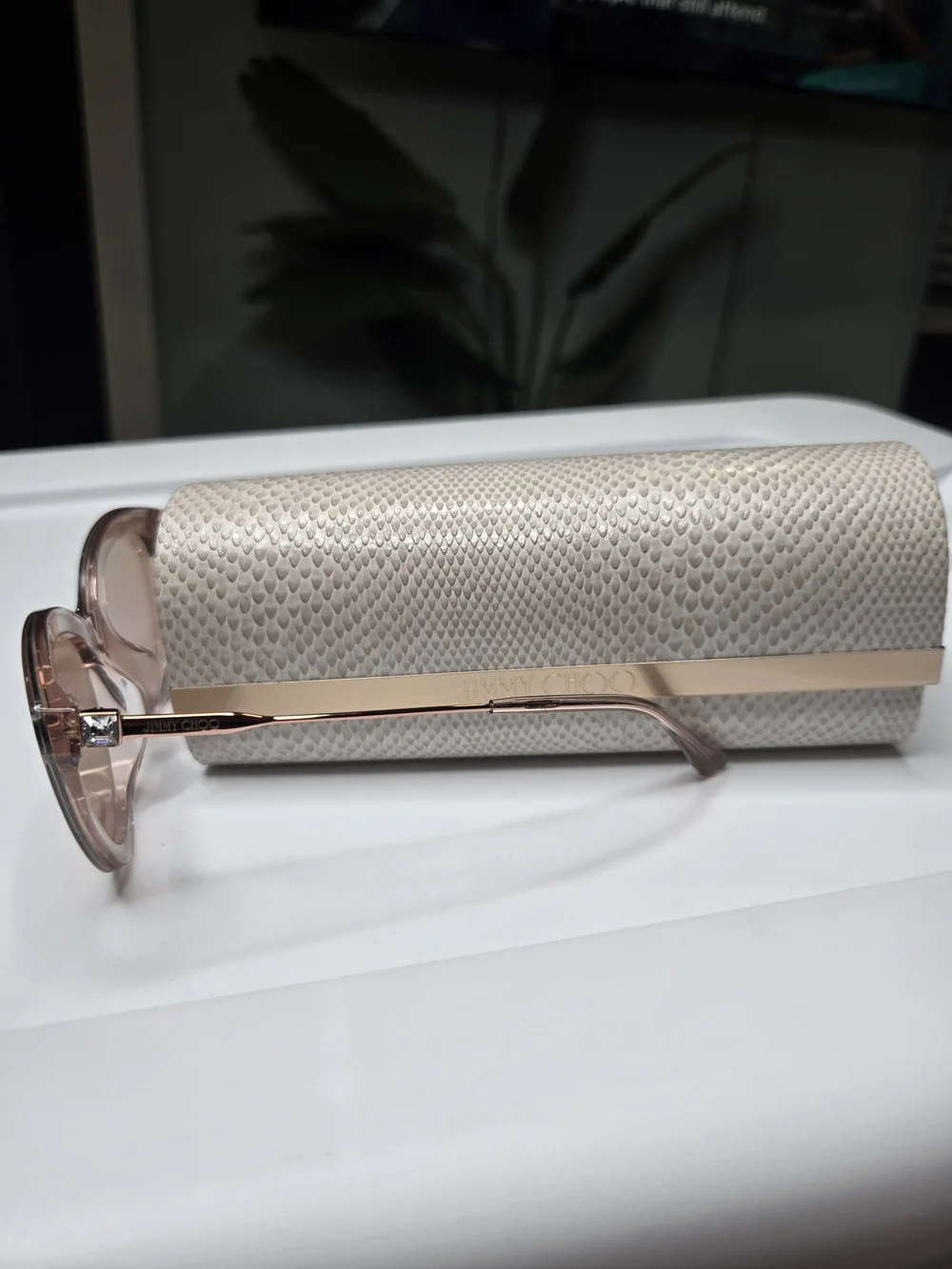 Jimmy Choo Cat-Eye Sunglasses in Light Brown
